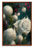 Virtual Garden - White Roses en internet