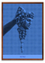 BITMAP Medusa en internet
