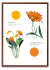 FLEURS ET COULEURS en internet