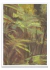 Jungla - PARED | Galería de Arte