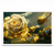 Virtual Garden - Gold Roses - PARED