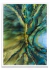 Oceanica - PARED | Galería de Arte