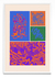 Asemic NVVA 004 - PARED