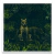 Pumas - PARED