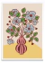 AMAPOLAS - PARED