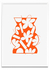Vase Orange - PARED