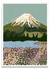 Monte Fuji - PARED
