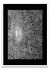 Multiverso Dark Edition - PARED
