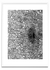 Dimension - white edition - PARED