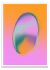 Portal - PARED