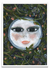 Luna Nueva - PARED