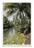 Loboc - PARED