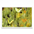 Mariposas - PARED