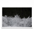 Agua - PARED