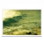Olas al amanecer - PARED