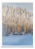 A Finnish Style - PARED