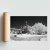 Museo de Arte Tigre - tienda online