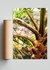 Vibrante palmera de vida - tienda online