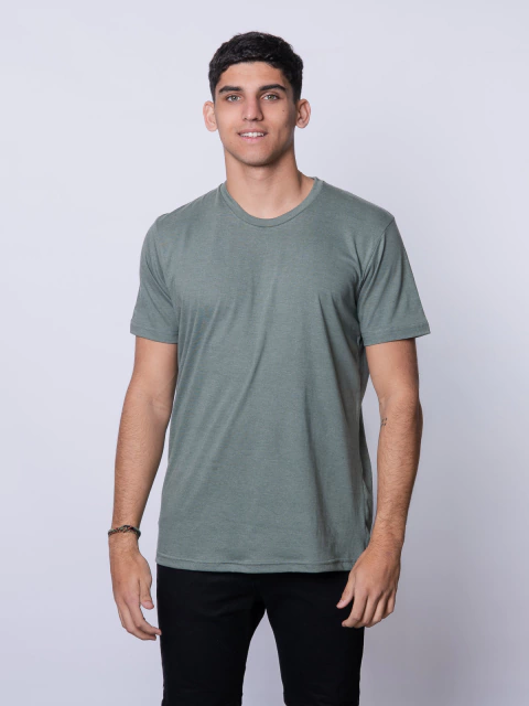 REMERA BÁSICA LISA en internet