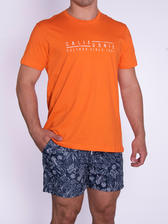 REMERA CLASICA CALIFORNIA - comprar online