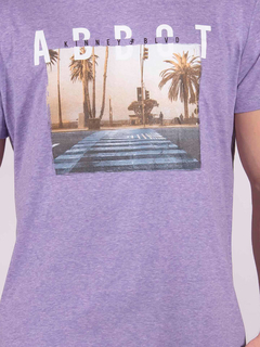 REMERA SF ESTAMPA GDE - comprar online