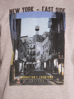 BUZO CLASICO ESTAMPADO en internet