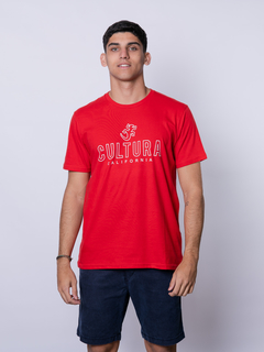 REMERA CLÁSICA ESTAMPADA - comprar online