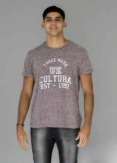 REMERA SNOW CON ESTAMPADO - comprar online