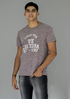 REMERA SNOW CON ESTAMPADO