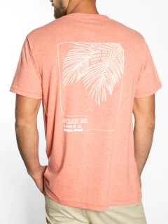 REMERA ESTAMPADA FRENTE Y ESPALDA