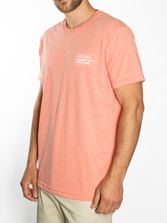 REMERA ESTAMPADA FRENTE Y ESPALDA - comprar online