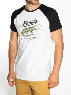 REMERA MANGA RANGLAN COMBINADA - comprar online