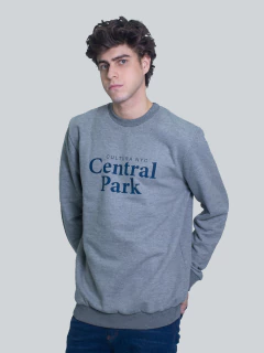BUZO CLASICO ESTAMPADO en internet