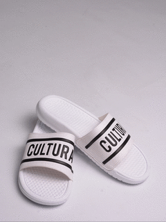FLIP CULTURA VIVOS en internet