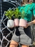 Combo de 3 Cerámicas + Plantas