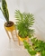 Combo Berta Premium x 3 con Plantas (Nórdico) - Pineapple Decoración