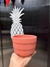 Maceta Kiama (Con o Sin Planta) - Pineapple Decoración