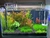 Lampara 60cm 78w WRGB plantado, ent. 1 semana - comprar en línea