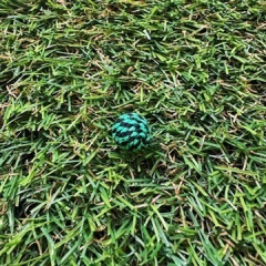 Bola de lã/feltro - 1 unidade on internet