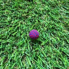 Bola de lã/feltro - 1 unidade on internet