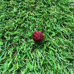 Bola de lã/feltro - 1 unidade - Botões Pro Gol