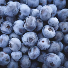 Arandanos 1kg - comprar online