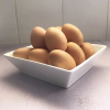 Maple de Huevos pastoriles