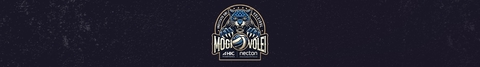 Banner da categoria Mogi Vôlei