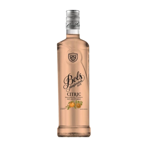 GIN BOLS CITRIC X 750cc