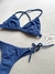 Bikini Tessie en internet