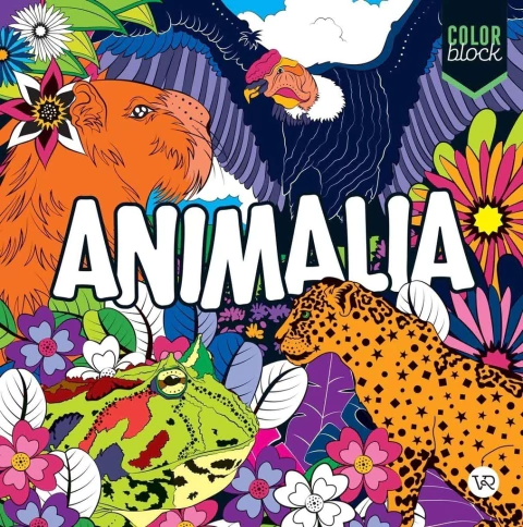 COLOR BLOCK - ANIMALIA