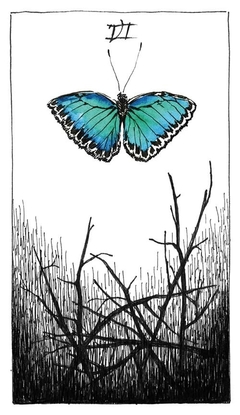 TAROT Naturaleza Misteriosa 78 Cartas Libro ARKANO BOOKS - Monte Kurama Tienda Holística Online