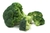 Brocoli x Und