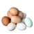 HUEVOS CRIOLLOS UND